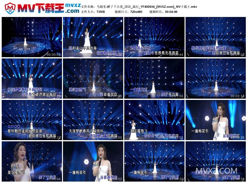 马婧雯-醉了千古爱_国语_流行_YF400934